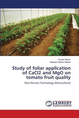 Study of foliar application of CaCl2 and MgO on tomato fruit quality 1