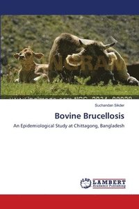bokomslag Bovine Brucellosis