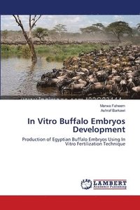 bokomslag In Vitro Buffalo Embryos Development