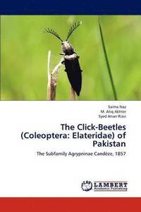 bokomslag The Click-Beetles (Coleoptera