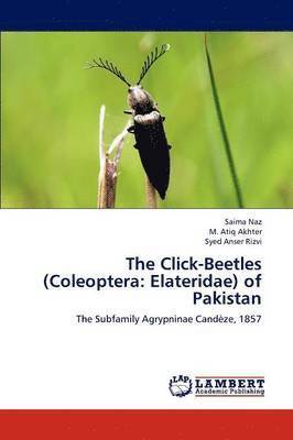 The Click-Beetles (Coleoptera 1