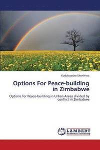 bokomslag Options for Peace-Building in Zimbabwe