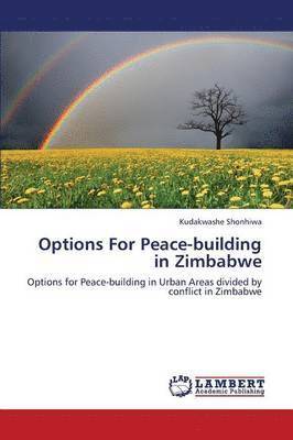 bokomslag Options for Peace-Building in Zimbabwe