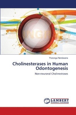 bokomslag Cholinesterases in Human Odontogenesis