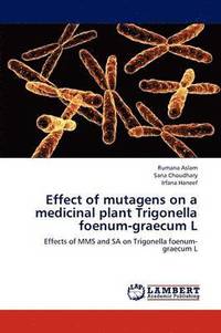 bokomslag Effect of Mutagens on a Medicinal Plant Trigonella Foenum-Graecum L