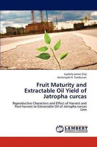 bokomslag Fruit Maturity and Extractable Oil Yield of Jatropha curcas