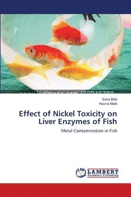 bokomslag Effect of Nickel Toxicity on Liver Enzymes of Fish