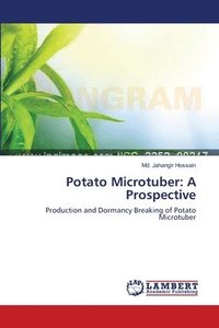 bokomslag Potato Microtuber