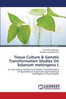 Tissue Culture & Genetic Transformation Studies On Solanum melongena L 1