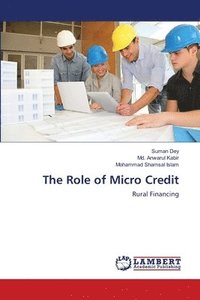 bokomslag The Role of Micro Credit