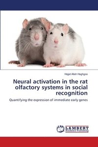 bokomslag Neural activation in the rat olfactory systems in social recognition