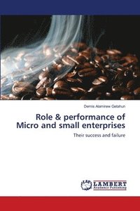 bokomslag Role & performance of Micro and small enterprises