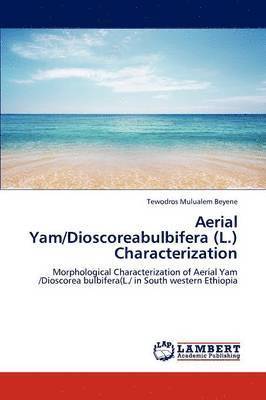 Aerial Yam/Dioscoreabulbifera (L.) Characterization 1