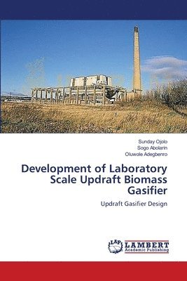 bokomslag Development of Laboratory Scale Updraft Biomass Gasifier