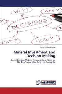 bokomslag Mineral Investment and Decision Making