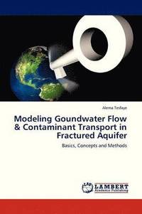 bokomslag Modeling Goundwater Flow & Contaminant Transport in Fractured Aquifer
