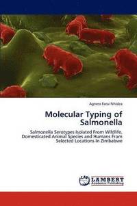 bokomslag Molecular Typing of Salmonella