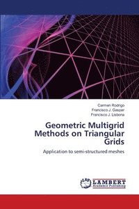 bokomslag Geometric Multigrid Methods on Triangular Grids