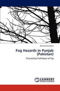 bokomslag Fog Hazards in Punjab (Pakistan)