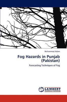 Fog Hazards in Punjab (Pakistan) 1