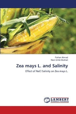 Zea mays L. and Salinity 1