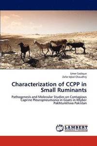 bokomslag Characterization of CCPP in Small Ruminants