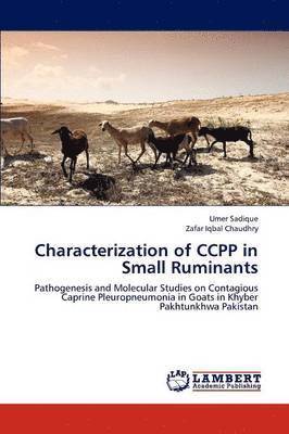 Characterization of CCPP in Small Ruminants 1