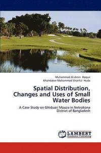 bokomslag Spatial Distribution, Changes and Uses of Small Water Bodies