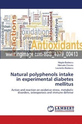bokomslag Natural polyphenols intake in experimental diabetes mellitus