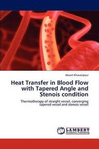 bokomslag Heat Transfer in Blood Flow with Tapered Angle and Stenois condition