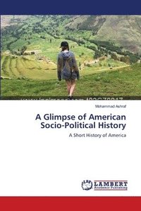 bokomslag A Glimpse of American Socio-Political History