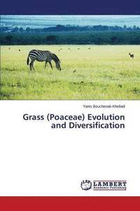 bokomslag Grass (Poaceae) Evolution and Diversification