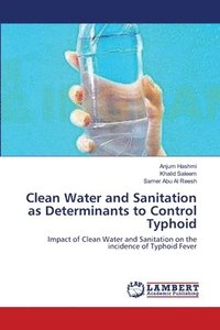 bokomslag Clean Water and Sanitation as Determinants to Control Typhoid