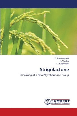 Strigolactone 1
