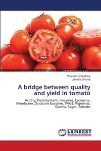 bokomslag A bridge between quality and yield in tomato