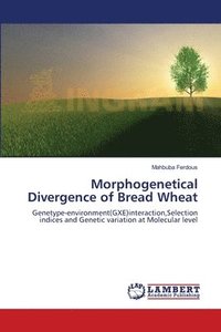 bokomslag Morphogenetical Divergence of Bread Wheat