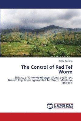 The Control of Red Tef Worm 1