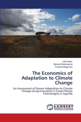 The Economics of Adaptation to Climate Change 1