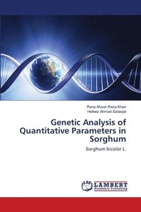 bokomslag Genetic Analysis of Quantitative Parameters in Sorghum
