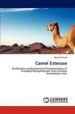 Camel Esterase 1