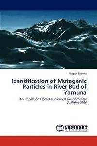 bokomslag Identification of Mutagenic Particles in River Bed of Yamuna