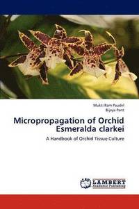 bokomslag Micropropagation of Orchid Esmeralda Clarkei