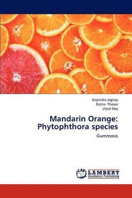 Mandarin Orange 1