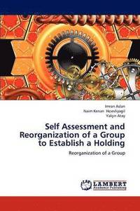 bokomslag Self Assessment and Reorganization of a Group to Establish a Holding
