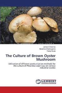 bokomslag The Culture of Brown Oyster Mushroom