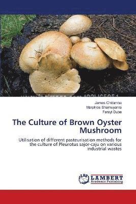 The Culture of Brown Oyster Mushroom 1