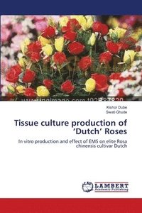 bokomslag Tissue culture production of 'Dutch' Roses