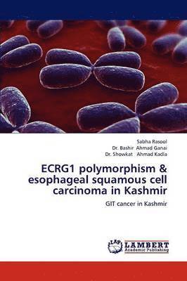 ECRG1 polymorphism & esophageal squamous cell carcinoma in Kashmir 1