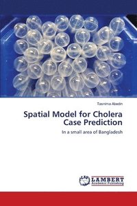 bokomslag Spatial Model for Cholera Case Prediction