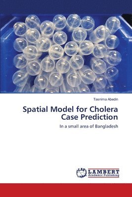 Spatial Model for Cholera Case Prediction 1